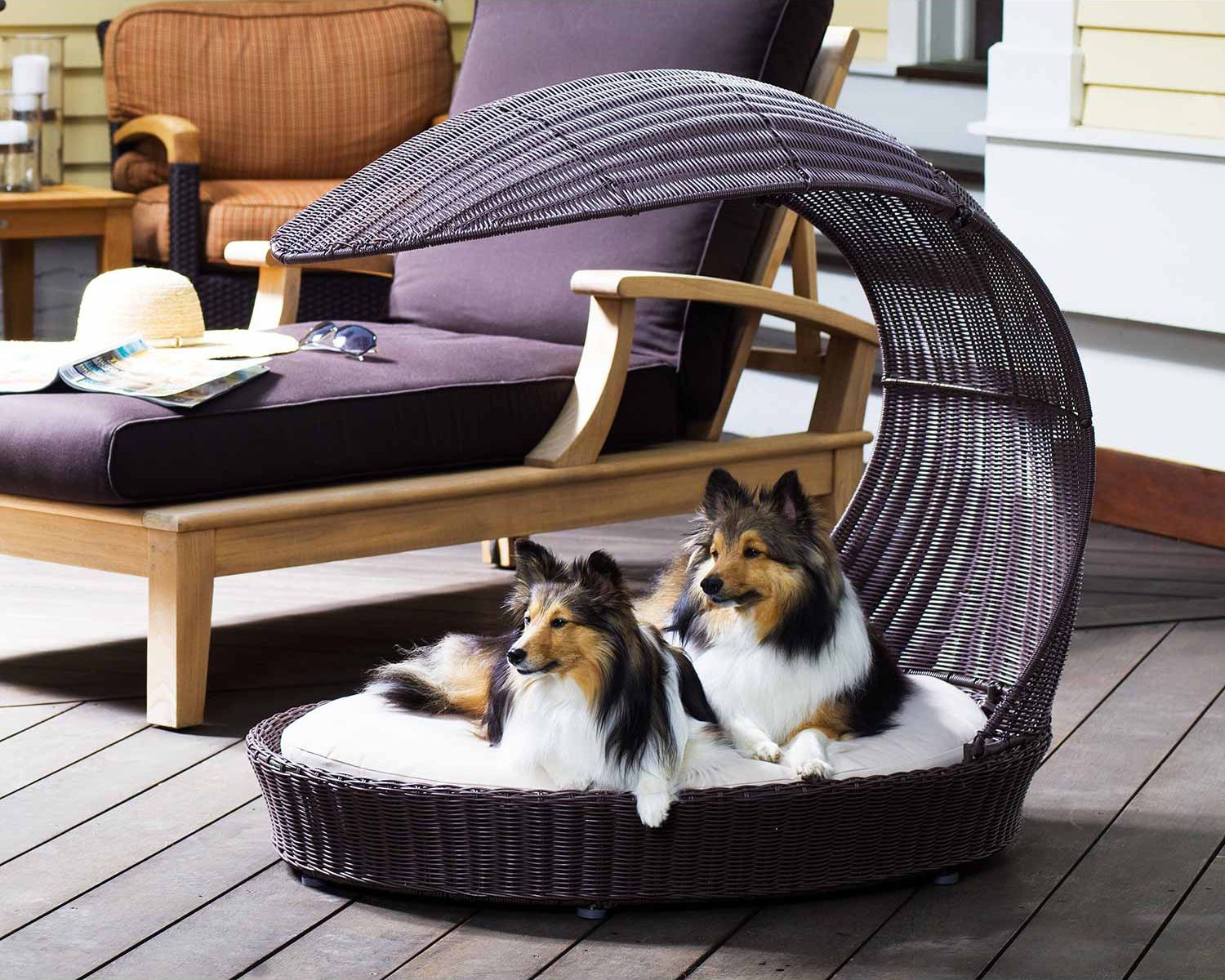 Outdoor Dog Furniture - Ideas on Foter