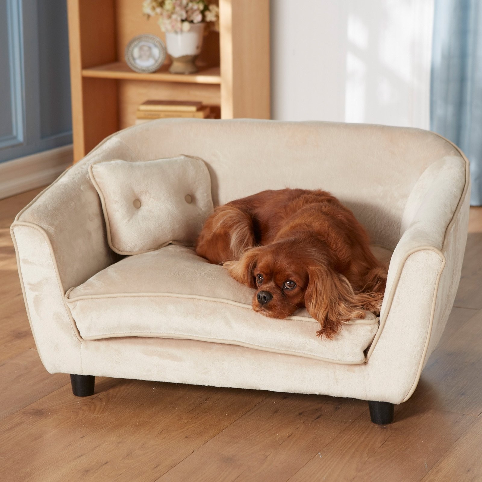 Astro Sofa Dog Bed