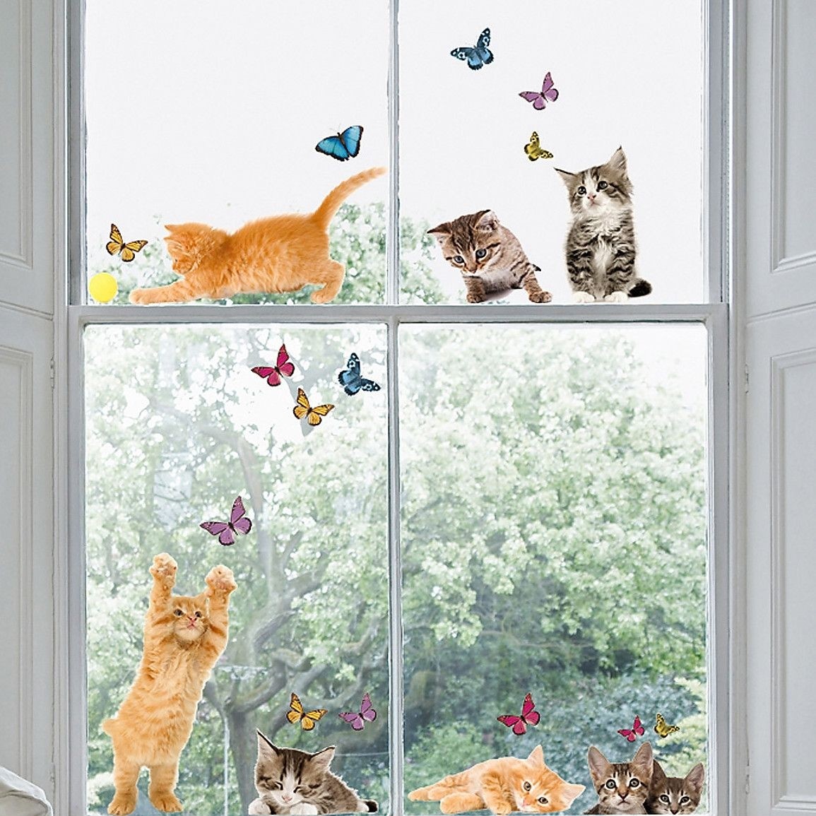 Euro Cats Window Sticker
