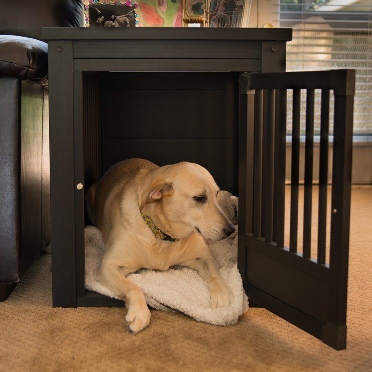 10 Dog Crate Ideas That Actually Look Good in Your Home