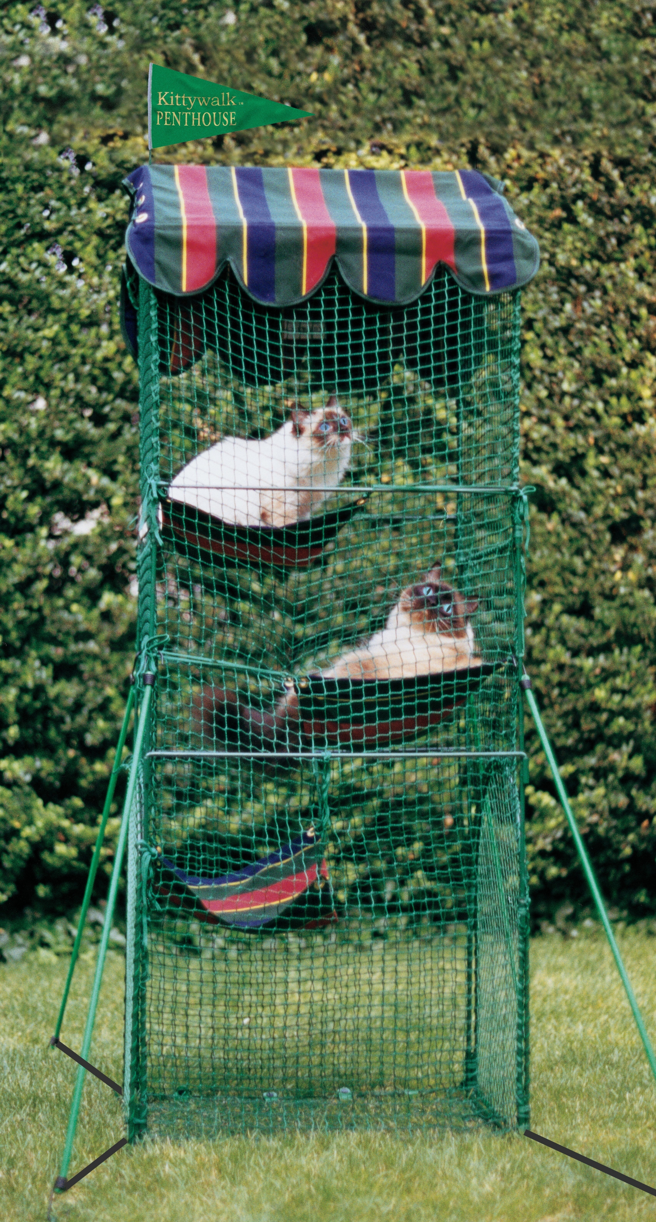 Cat outdoor playpen sale