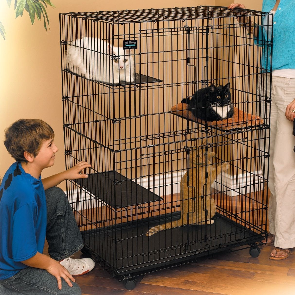 Cat Cage/Playpen