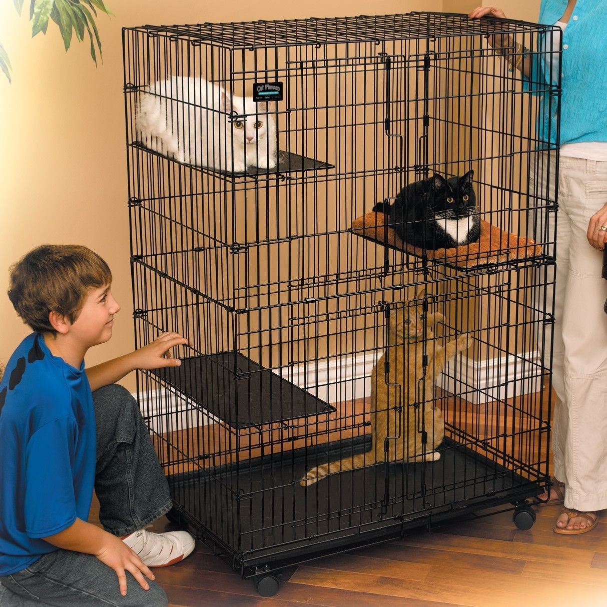 cat play cage