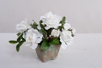 Faux Cape Jasmine Gardenia in Clay Pot