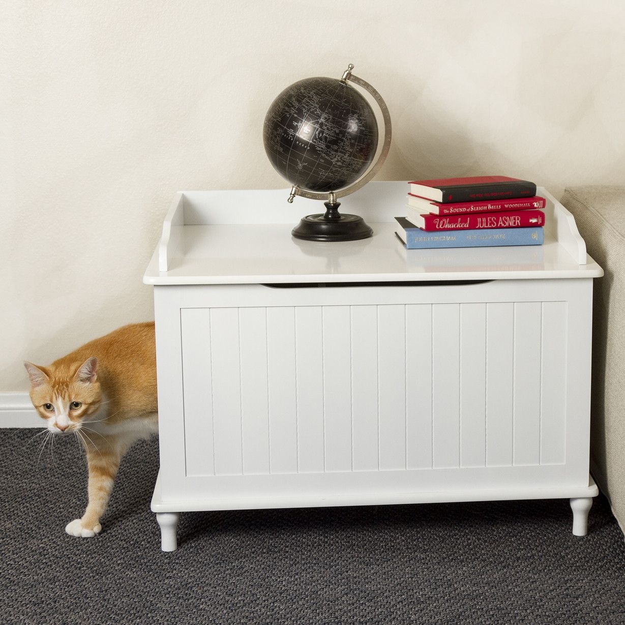 Cat Litter Box Bench Ideas On Foter