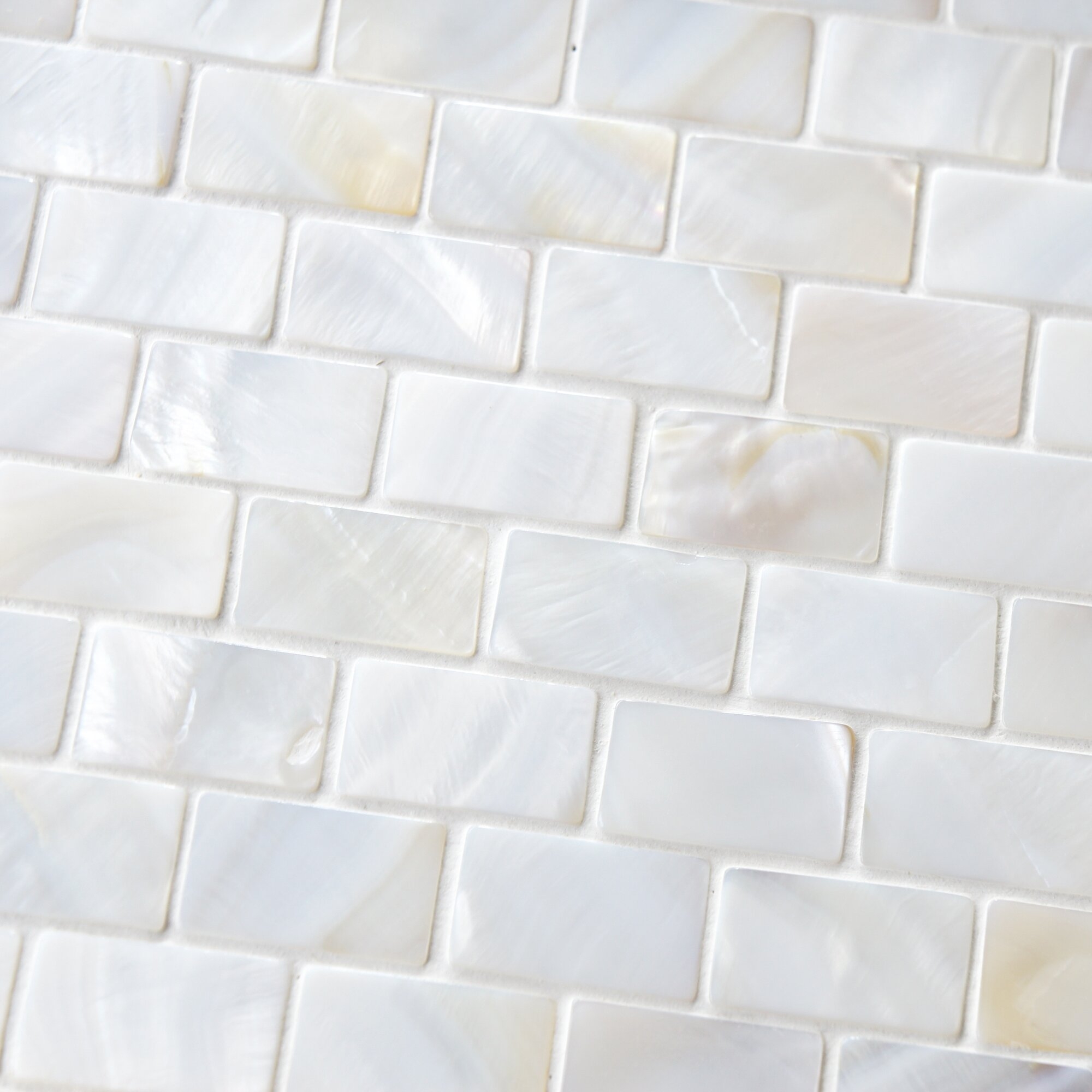 Shore Random Sized Seashell Pebble Tile in White