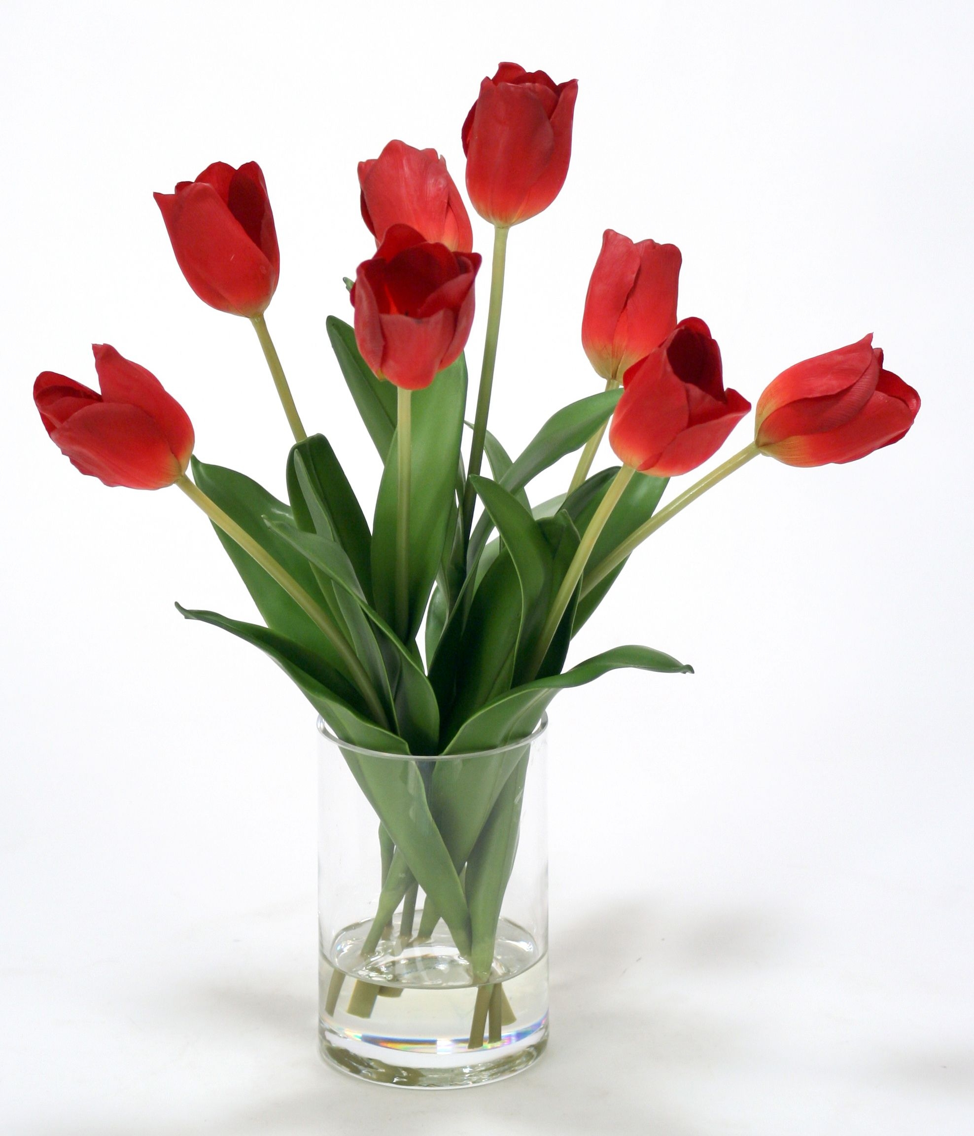 Waterlook Silk Tulips in Glass Cylinder