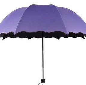 Purple Patio Umbrellas Ideas On Foter