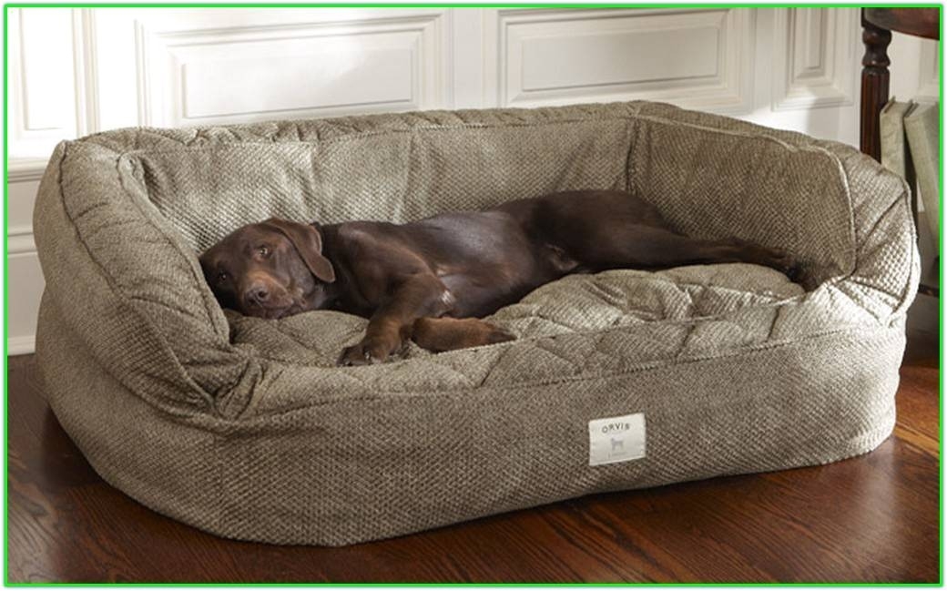 x large dog couch