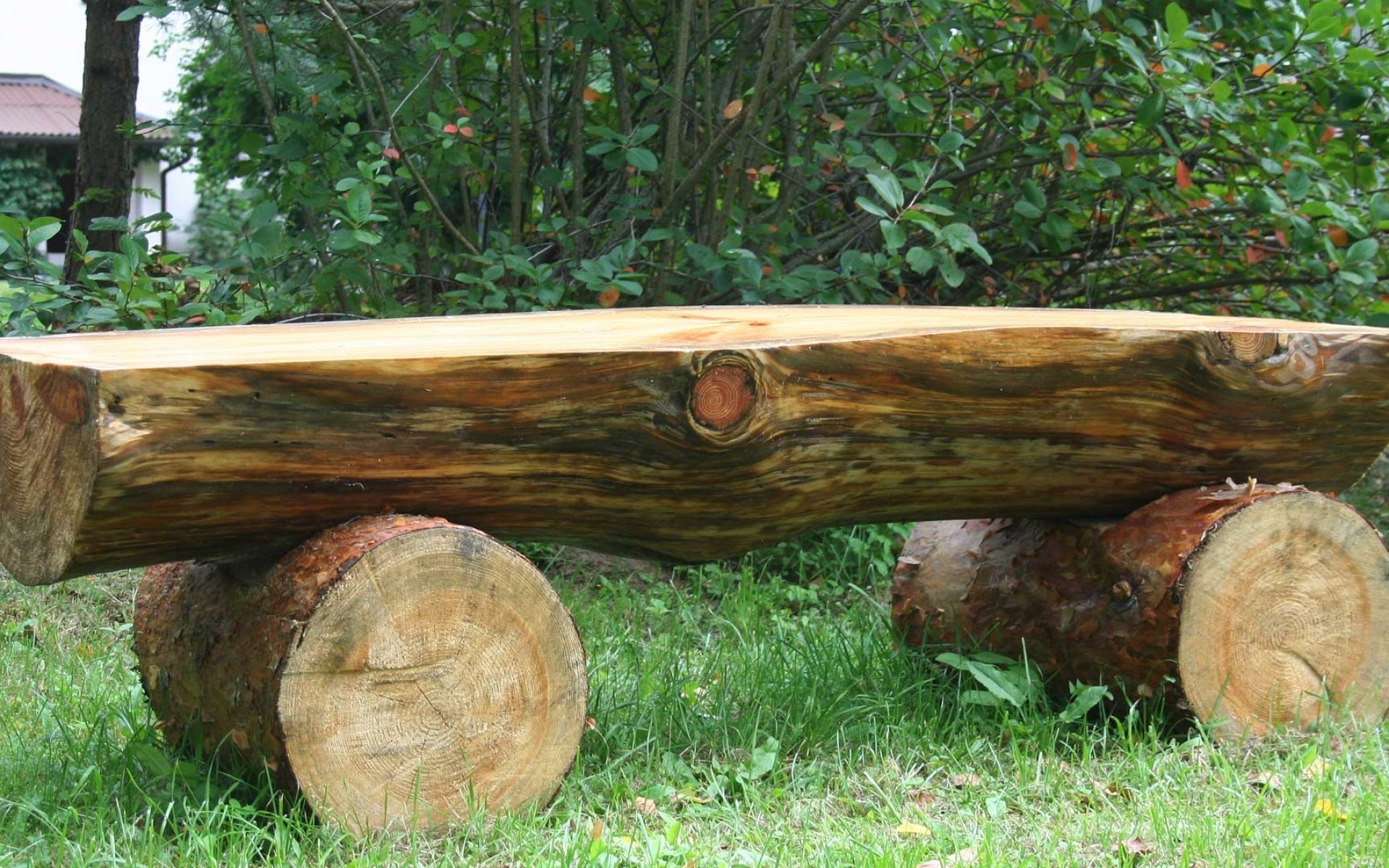 Do cut down to make log bench and other pieces