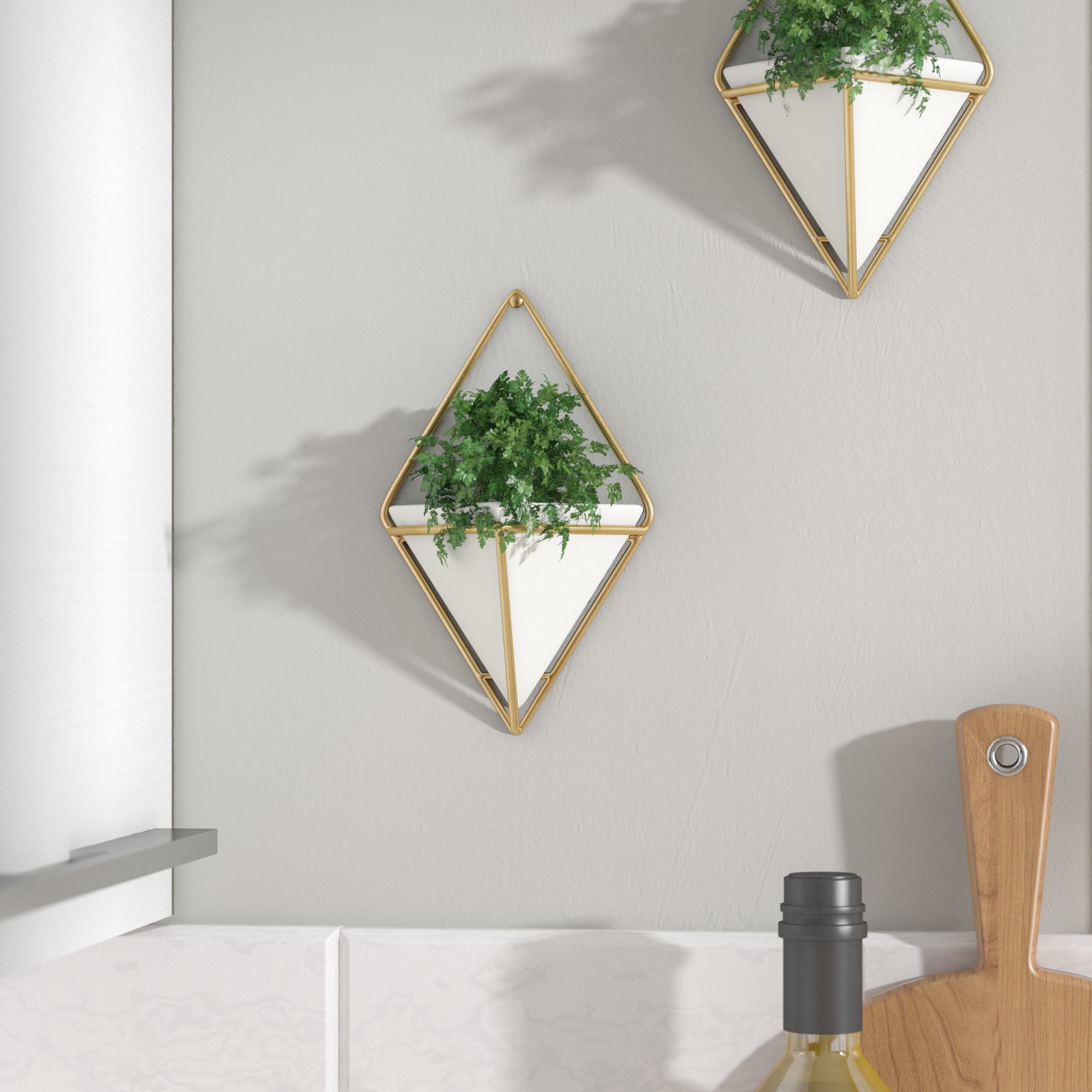 Futuristic Wall Décor Hanging Planters