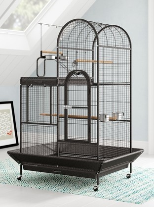 How To Choose A Bird Cage