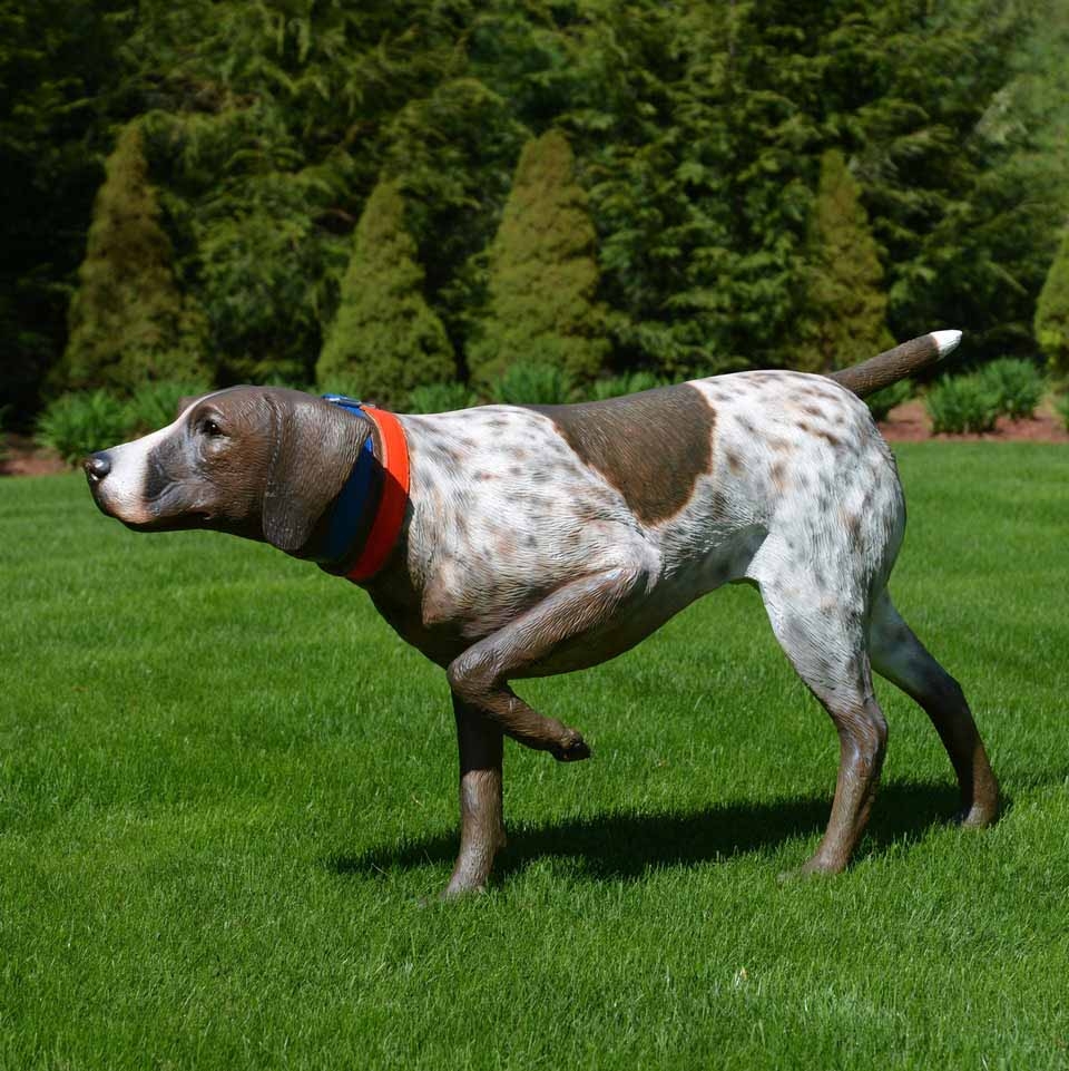 Life size german shorthaired pointer dog statue