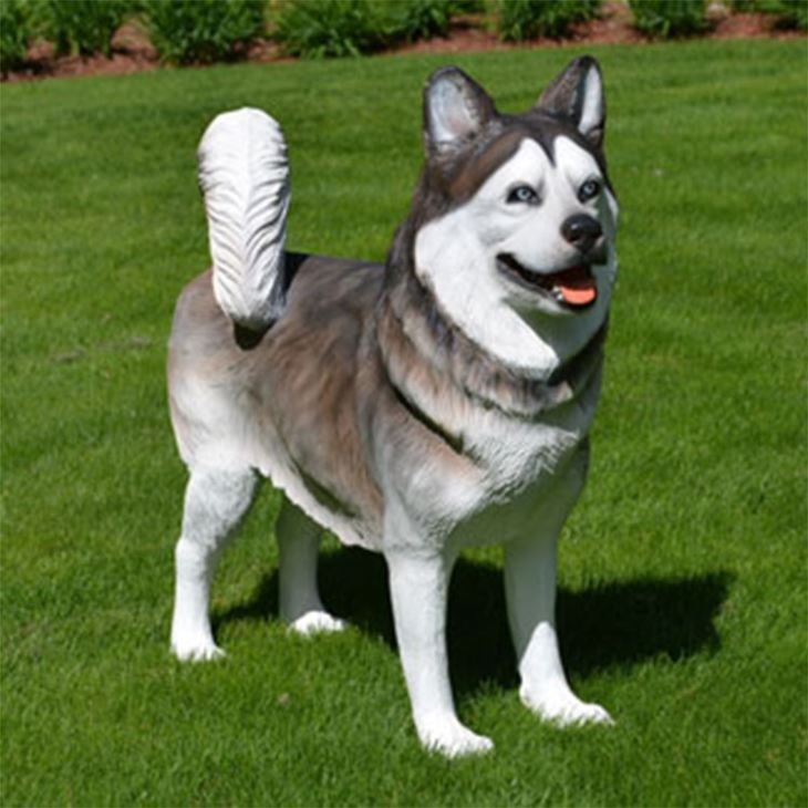 Life size husky dog statue