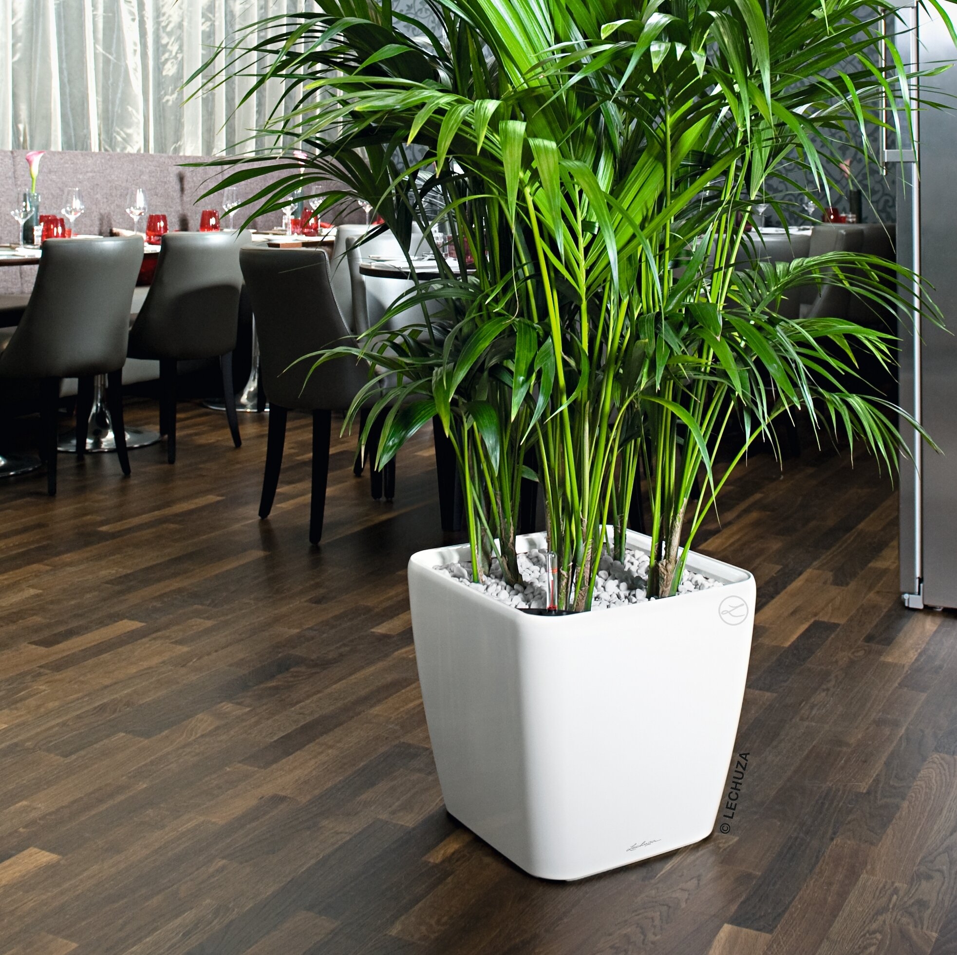 Indoor Planters For Large Plants