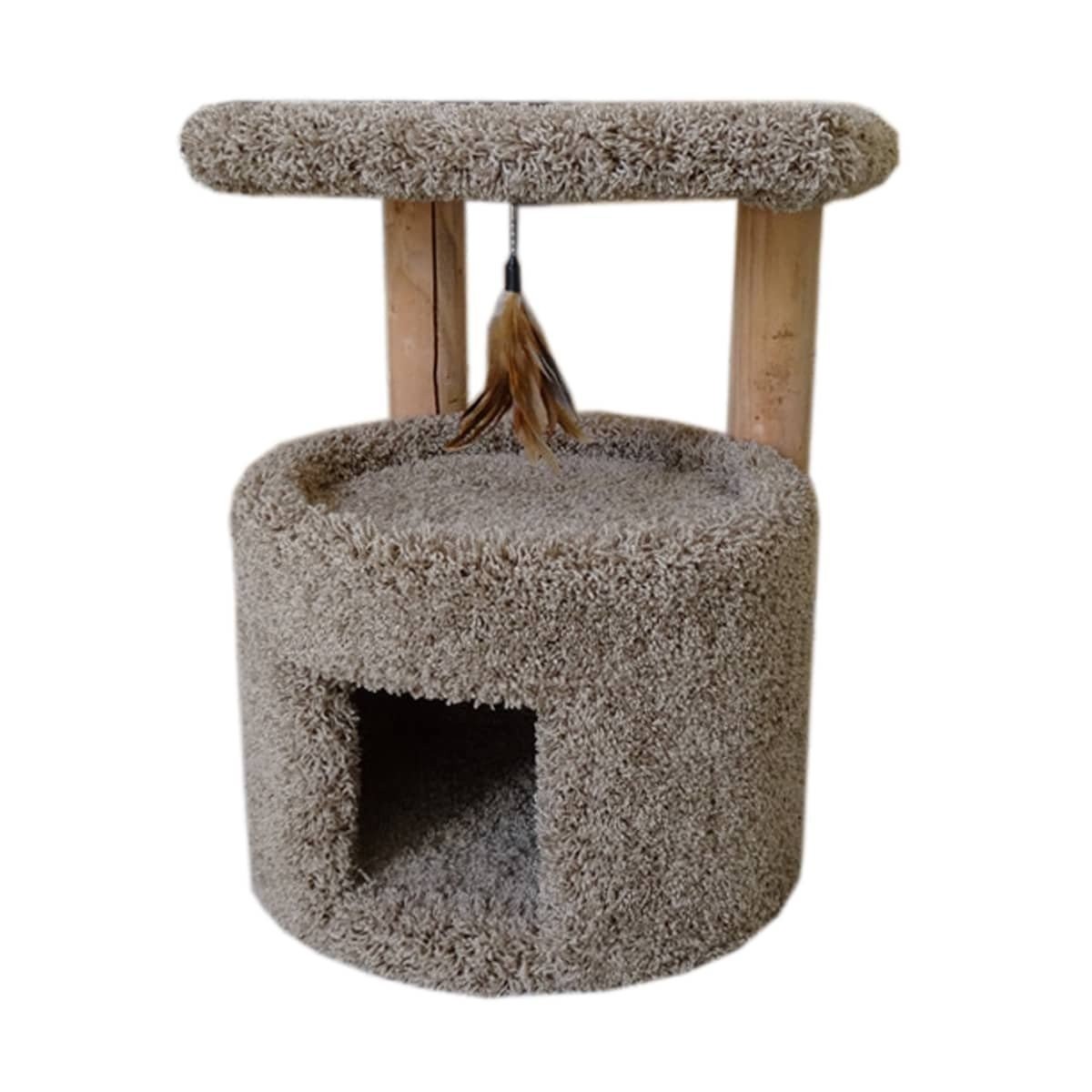 Small Cat Condo With Carpet Lining