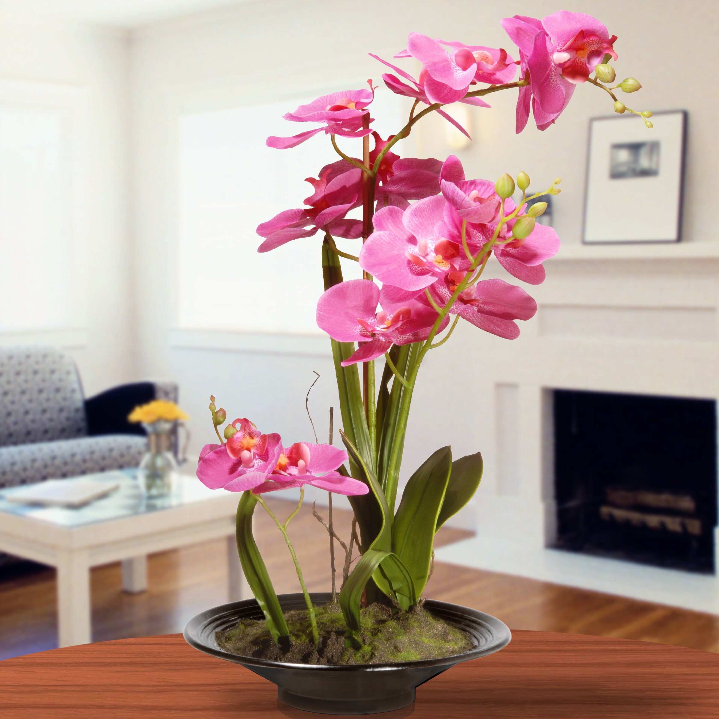 Spring Orchid Floral Arrangement in Planter