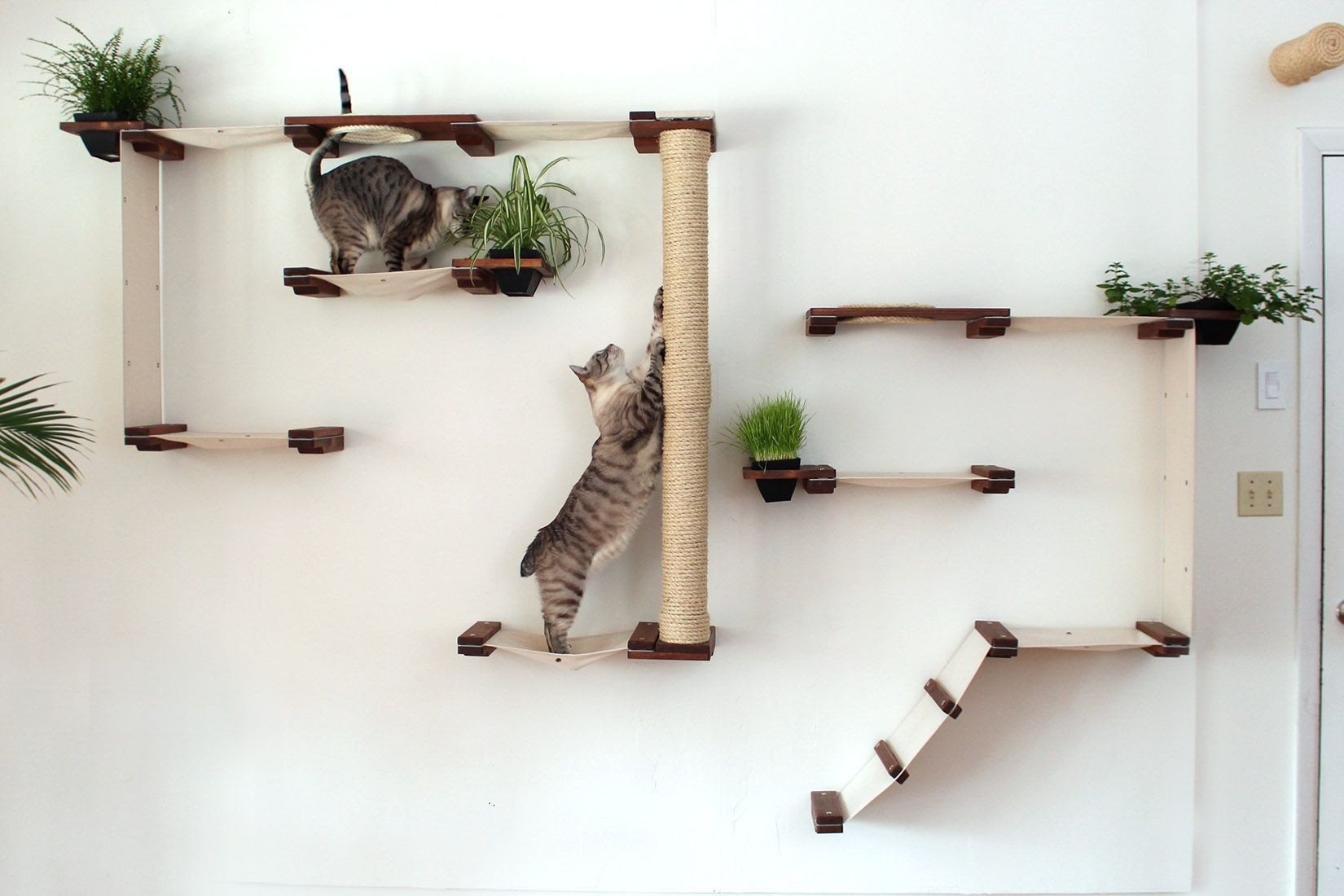 Wall Mounted Multiple Level Hammock And Climbing Activity Center For Cats