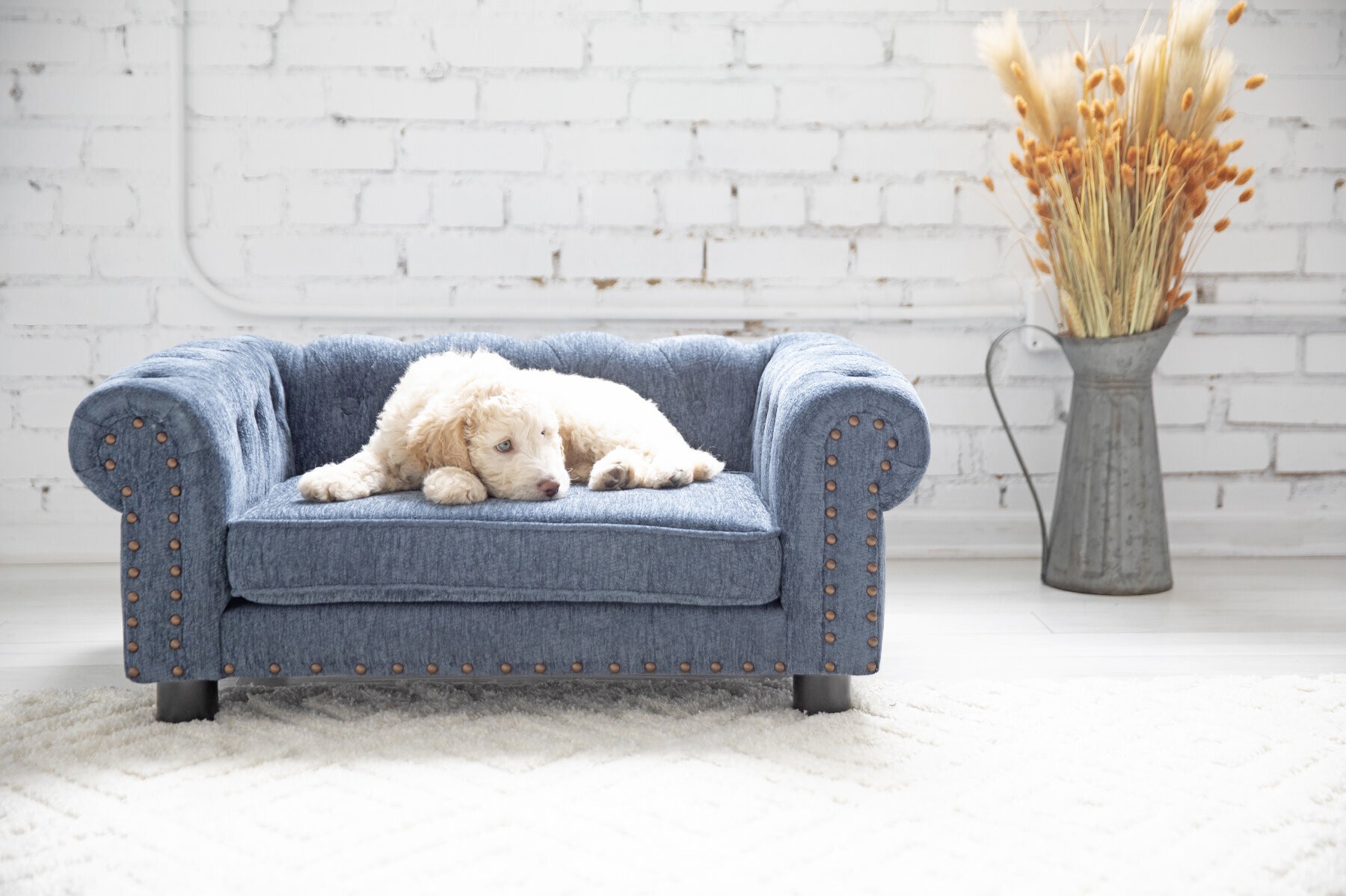 Blue Classic Polyester Sofa Dog Bed 