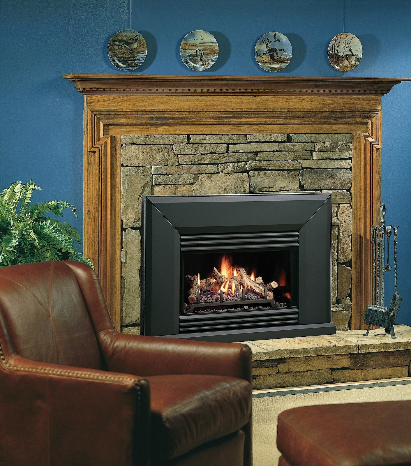 Direct Vent Natural Gas Propane Fireplace Insert 18 
