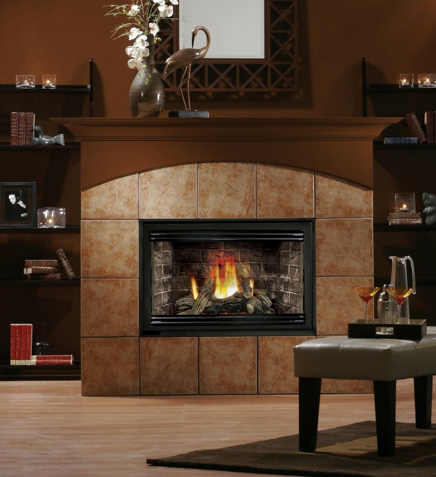 Direct Vent Natural Gas/Propane Fireplace Insert