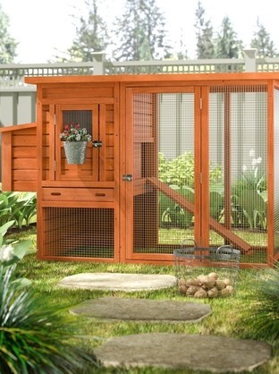 How To Choose A Chicken Coop