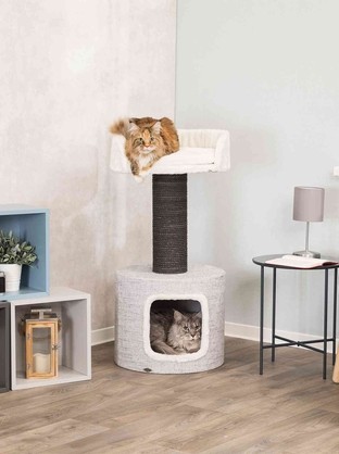 How To Choose Cat Trees & Condos