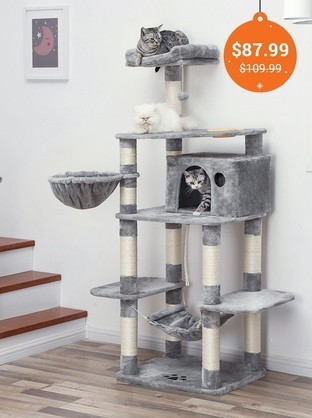 How To Choose Cat Trees & Condos