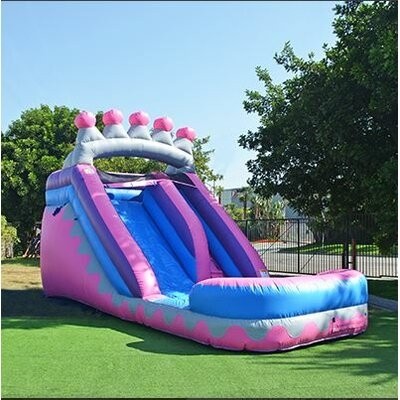 Princess Inflatable Slide