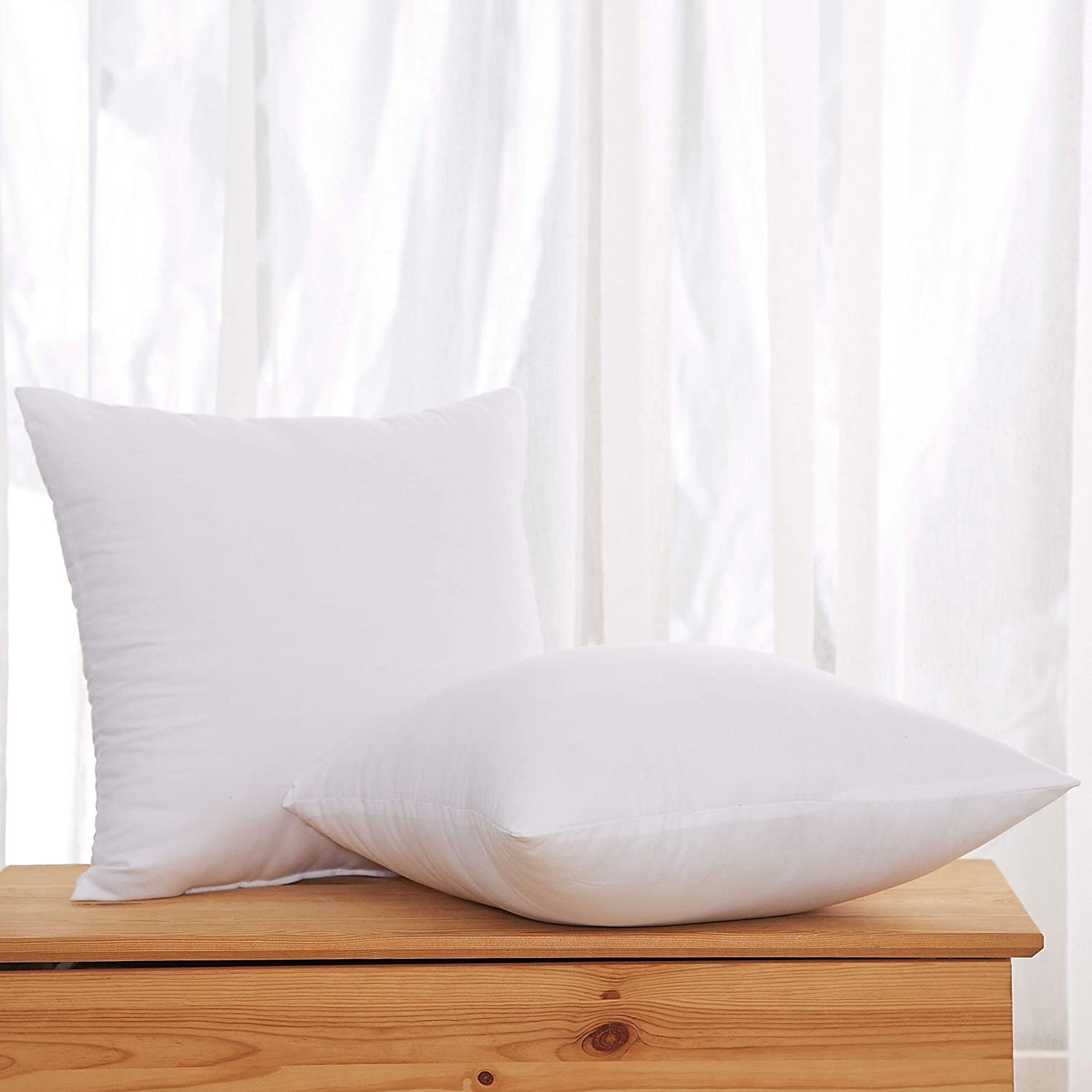Roisin Soft Hypoallergenic Throw Pillow Insert (Set of 2)