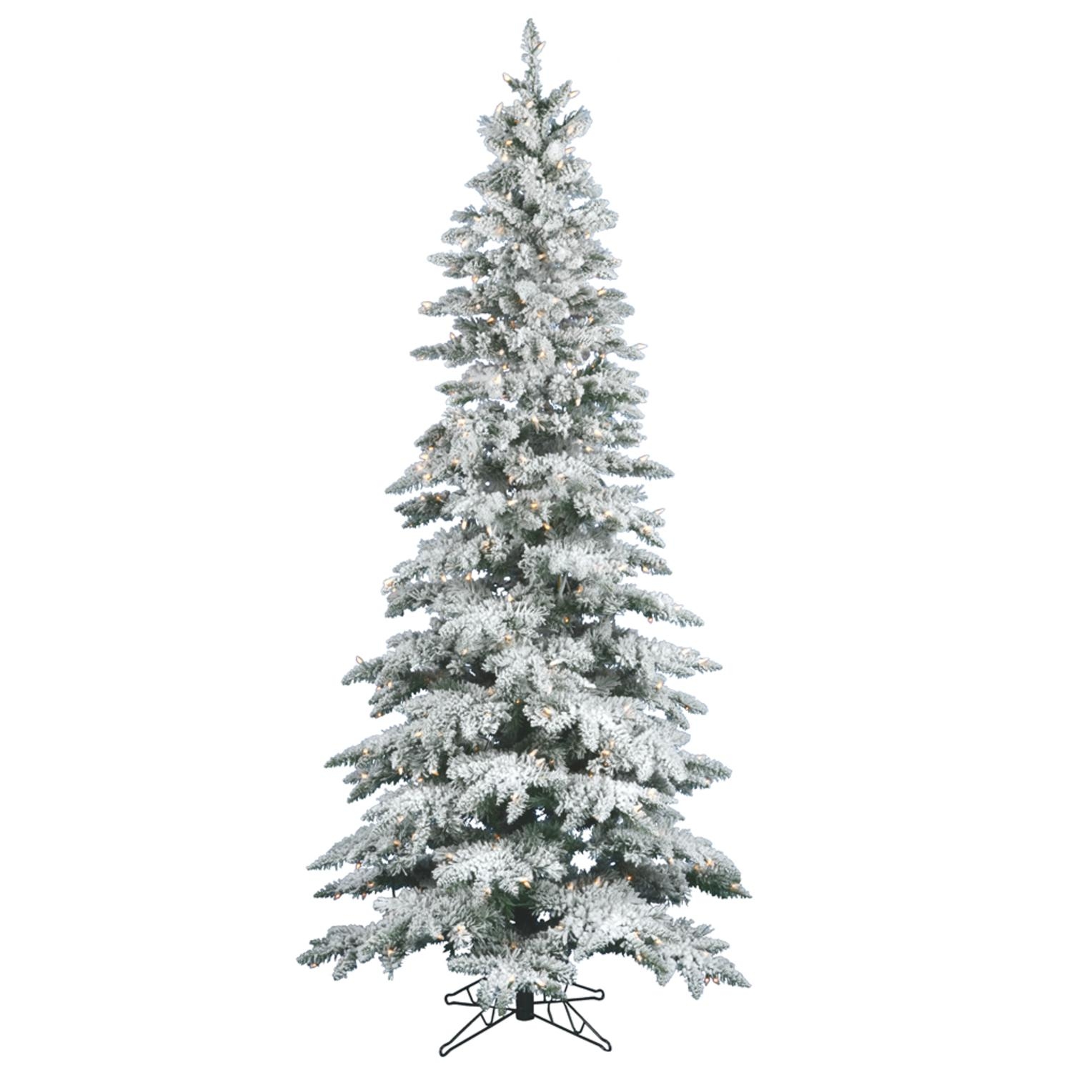 Vickerman 90' White/Green Fir Trees Artificial Christmas Tree with 360 Clear/White Lights