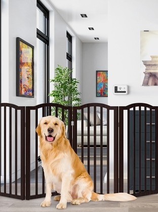 6 Important Reasons To Get A Dog Gate For Stairs