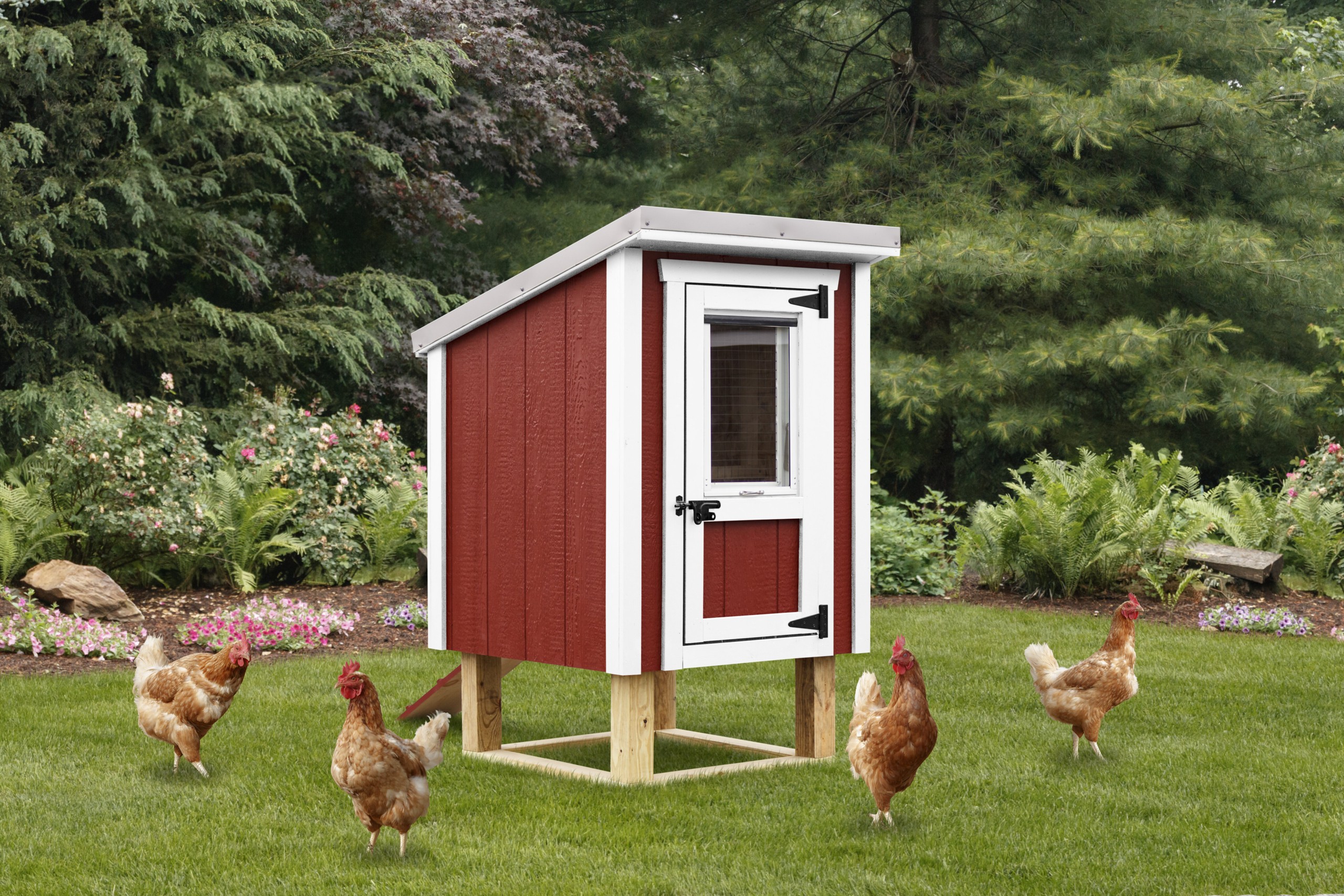 Backyard Chicken Coop with Nesting Box and Roosting Bar