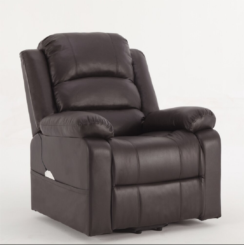 Beggs Faux Leather Power Lift Assist Recliner