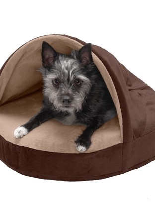 How To Choose A Hooded/Dome Dog Bed