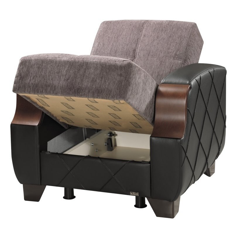 50 Best Pull Out Sleeper Chair That Turn Into Beds Ideas On Foter   Camanche Convertible Chair 