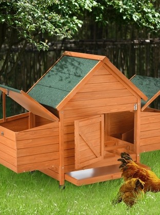 Tips To Keep A Chicken Coop Immaculate