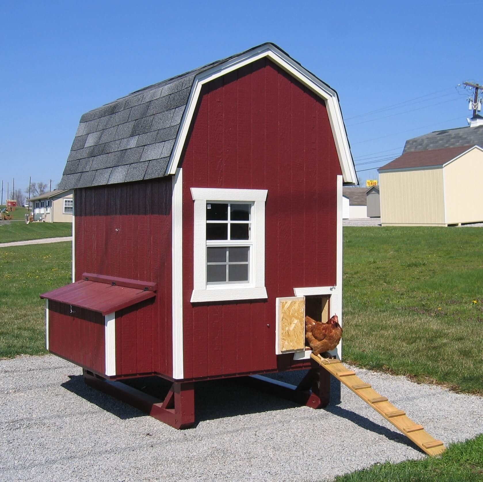 Chicken House with Nesting Box and Ramp