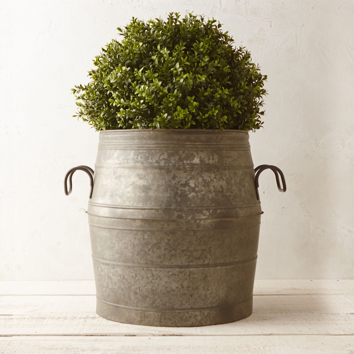 Large Metal Planters - Ideas on Foter