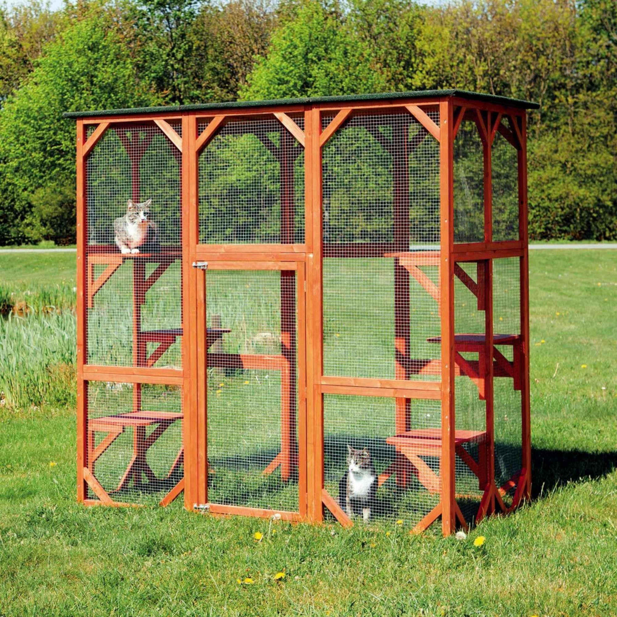 ultimate-guide-to-outdoor-cat-enclosures-foter