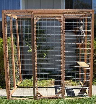 buy cat enclosure