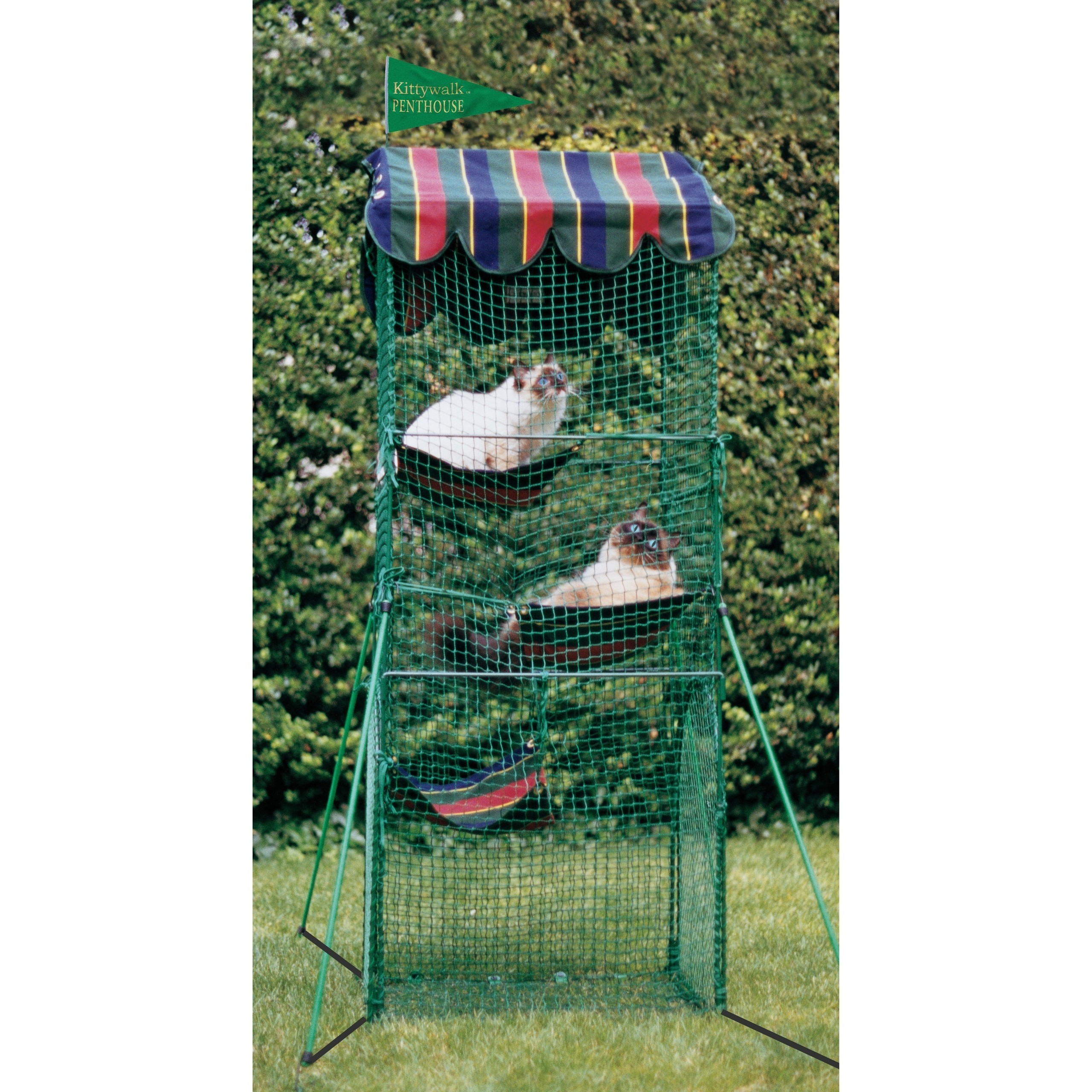 Kittywalk outdoor cheap cat enclosure