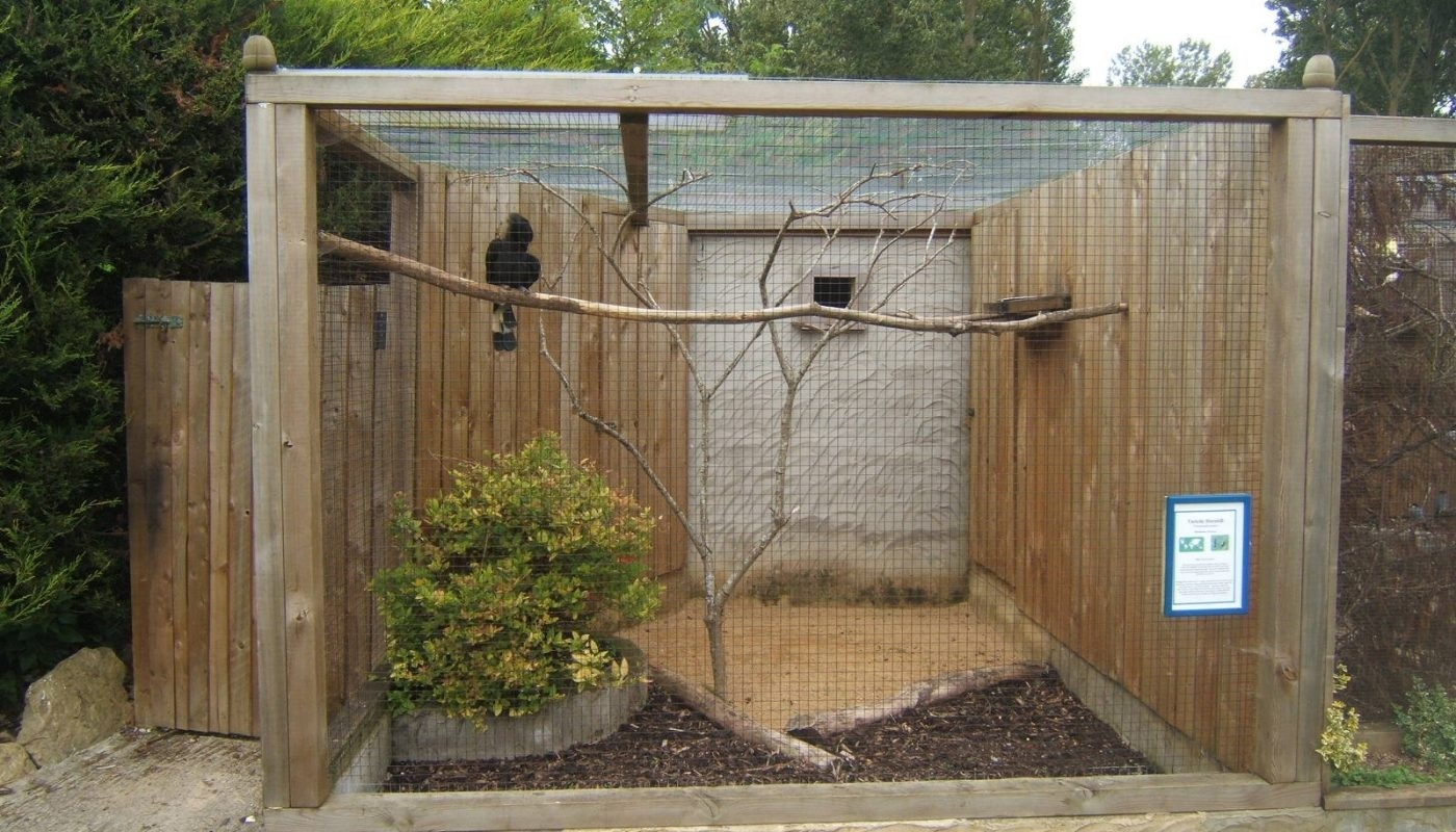 cheap aviaries