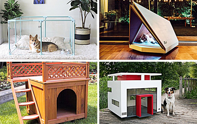 modern dog kennel