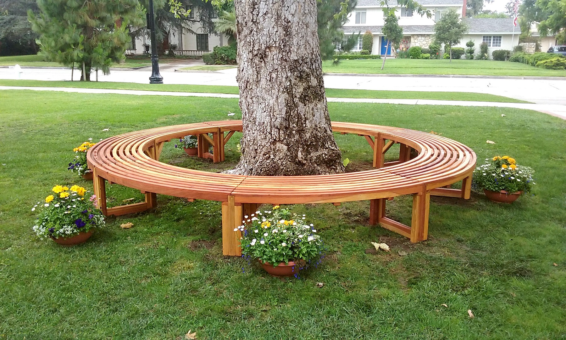 Tree Benches - Ideas on Foter