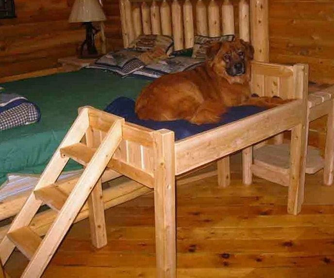 Dog Stairs For High Bed - Ideas On Foter