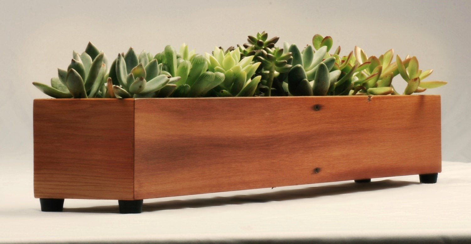 Modern wood planter box