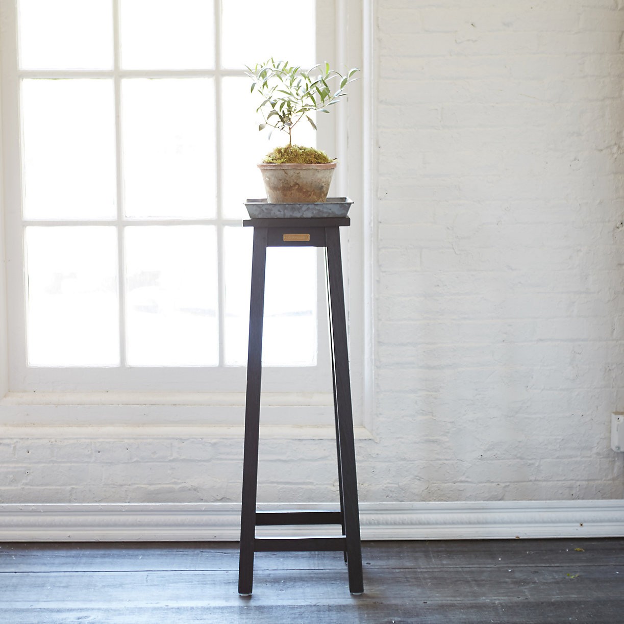 Tall Pedestal Plant Stand - Ideas on Foter