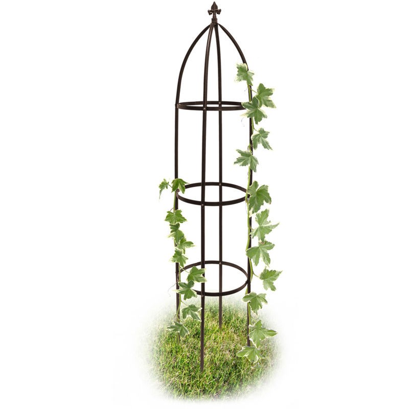 Metal Obelisk Trellis - Ideas on Foter