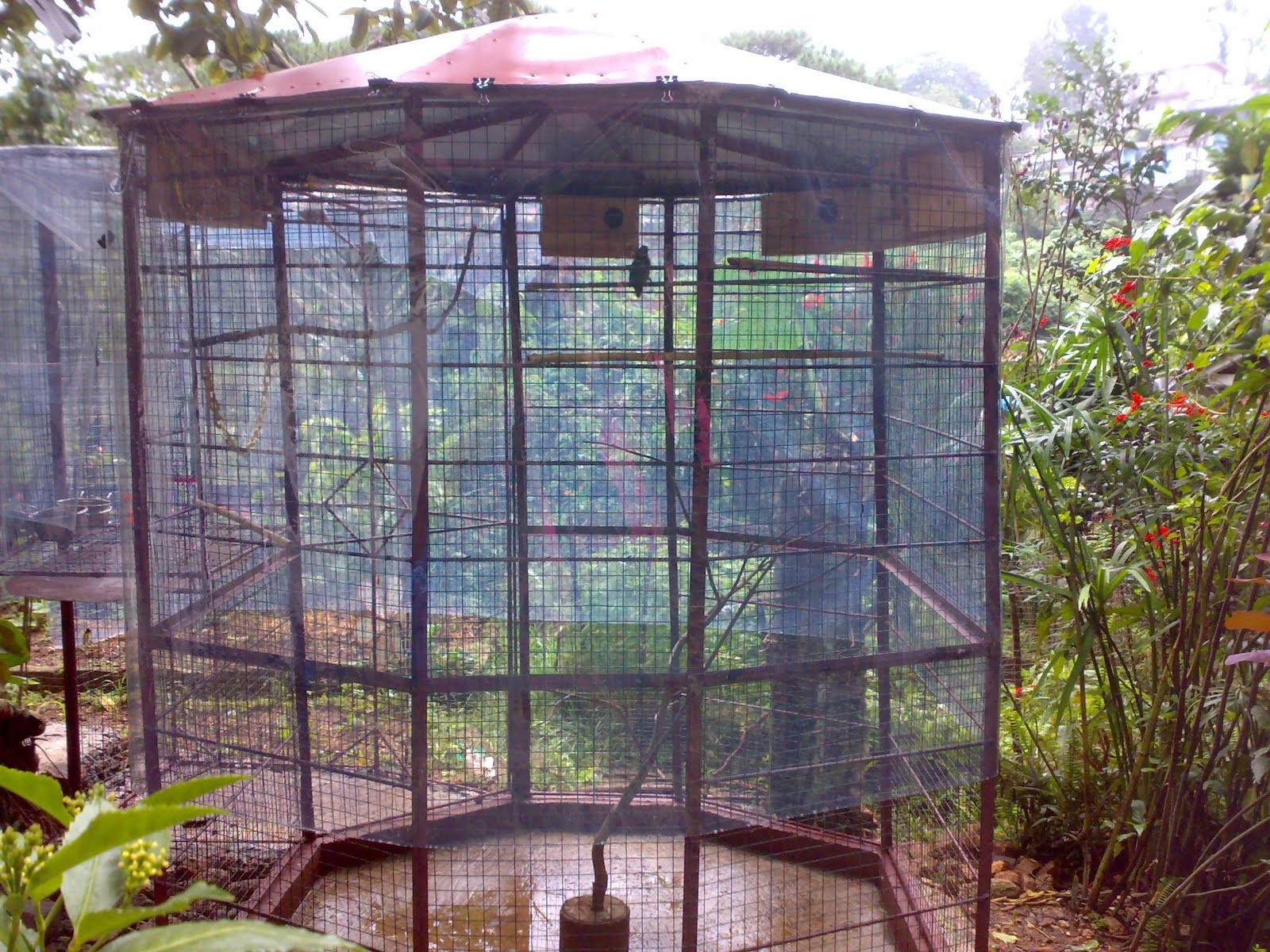 The best 10 outdoor bird aviary to backyard project 1